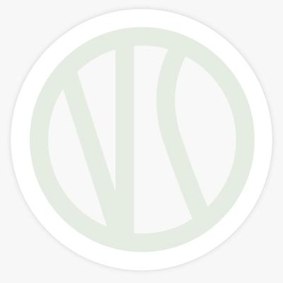 Hiilgav klassika ukraina rahvapillidel